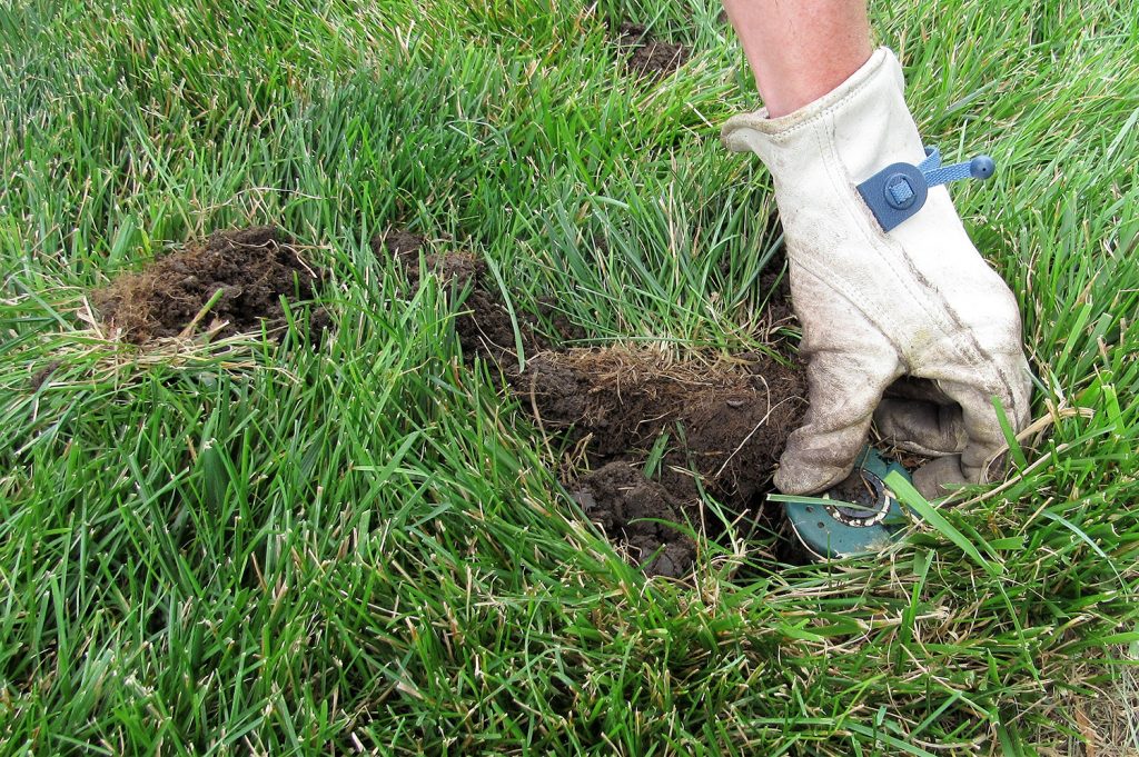 digging up a sprinkler head in a lawn